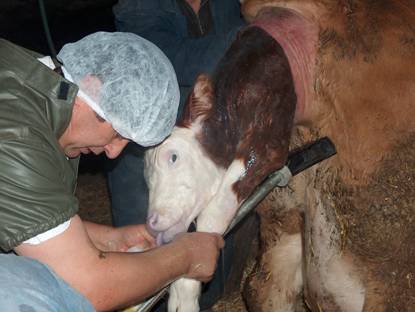 Güç do?uma müdahale edilmesi